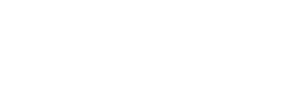 Logo FASTSPIN