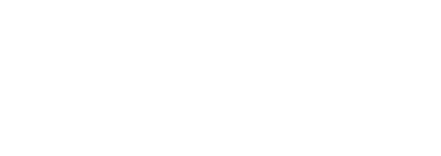 Logo N9NEi